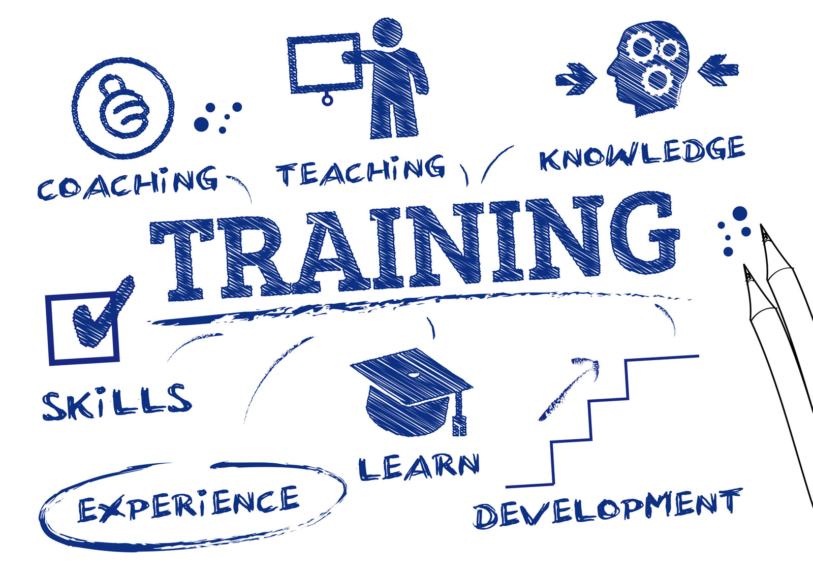 Bizycorp Employee Training Portal